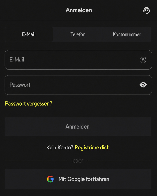 Login-System für das persönliche Konto mit allen verfügbaren Methoden